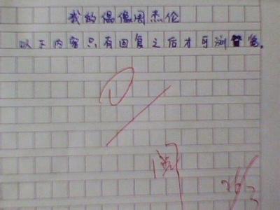 小学生作文记事篇 我的偶像小学生作文4篇