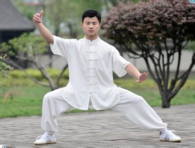 多元循环太极拳 多元文化养育的太极拳