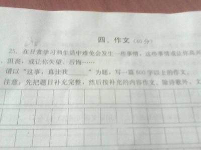 以景色为话题的作文 以风景为话题的作文600字