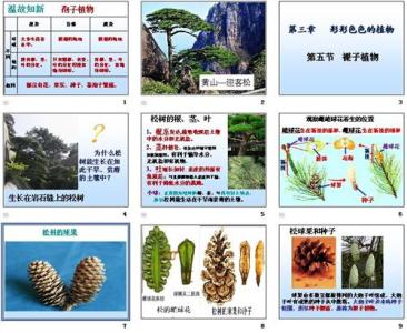 初一生物教学反思 初一上册生物反思