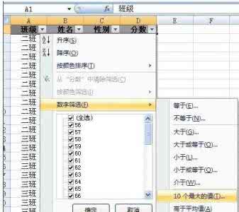 ppt2007操作技巧大全 Excel2007中进行字段设置技巧的操作方法