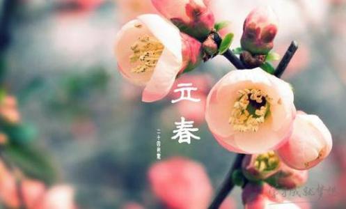 立春时节 立春时节有什么养生方法