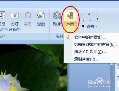 ppt2007声音设置 怎样给PPT2007插入声音