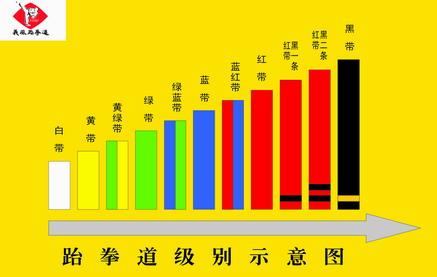 跆拳道等级划分图片 跆拳道的等级划分