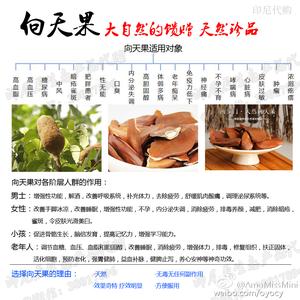 向天果的功效和用法 向天果的用法用量 向天果有什么功效