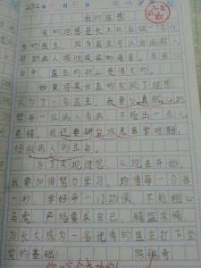 我的理想日记100字 关于我的理想的日记600字