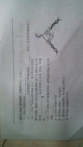 初一下数学第二章试卷 初一上册生物第二单元第二章测试试卷