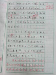 我是一只小小鸟 假如我是一只小鸟400字小学生想象作文精选5篇