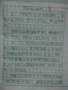 有关老师的作文800字 有关老师的作文