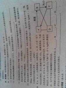 初中数学脑筋急转弯 关于初中物理的脑筋急转弯