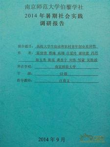 2016市场调研报告范文 2016年实践调研报告范文