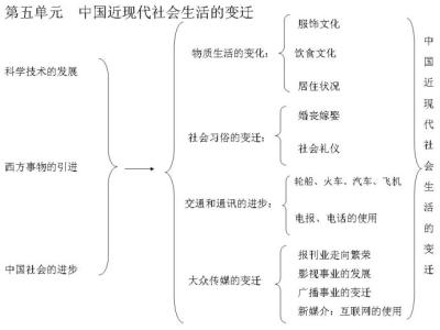 高一政治必修2复习提纲