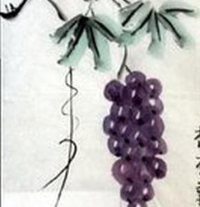 中国画葡萄图片 儿童中国画葡萄图片