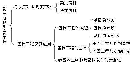 高一生物从杂交育种到基因工程单元练习