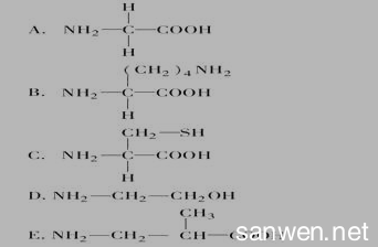 高一数学必修5试题 高一生物必修1细胞中的生物大分子测试试题