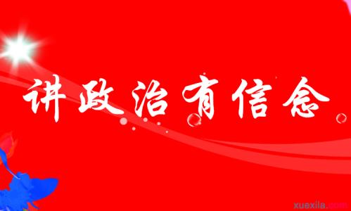 讲政治,有信念心得体会 讲政治有信念心得体会