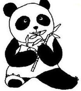 小熊猫图片简笔画 卡通熊猫简笔画图片