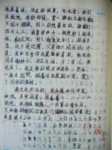 快乐的日记300字作文 描写生活需要快乐的日记作文