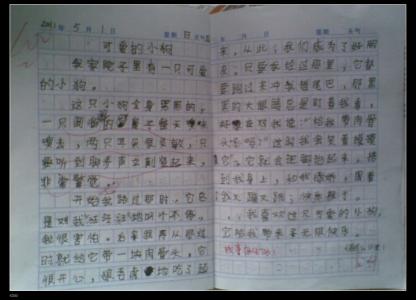 我喜欢的小狗200字 我喜欢小狗200字优秀范文6篇