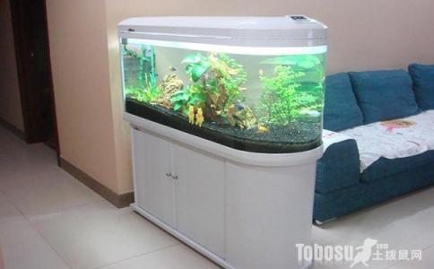 室内鱼缸摆放位置 室内鱼缸摆放位置是什么?鱼缸怎么清洗啊?
