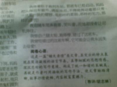 2012荆州中考满分作文：温暖的阳光