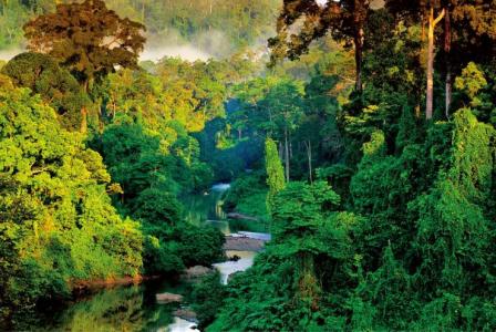 世界陆地最低处 世界面积最大热带雨林