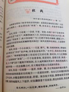 以秋天为话题的作文 秋天话题作文800字