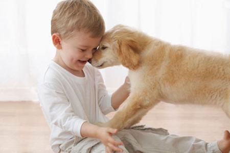 孩子与狗狗相处 如何让狗狗和孩子和谐相处