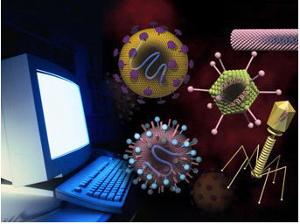 小鼠病毒检测方法 计算机病毒检测方法