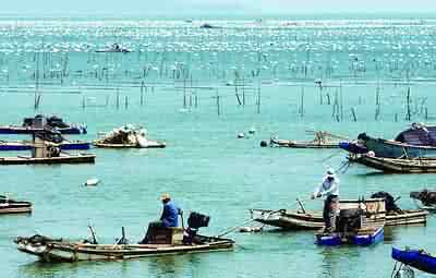 中国海域海岛标准名录 浅谈完善我国海岛及周边海域环境保护立法