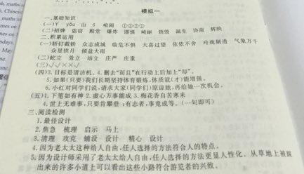 五年级期中语文试卷 五年级上册期中语文试卷答案