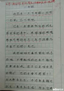 作文帮妈妈做家务150字 关于帮妈妈做家务的作文400字
