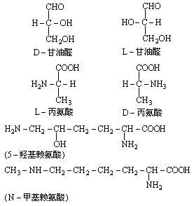 常见物质的化学式 高一常见化学式