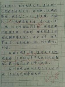 体验盲人作文400字 关于体验盲人的作文400字