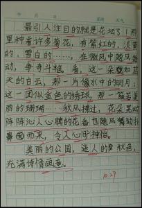 三年级作文大全300字 小学三年级作文