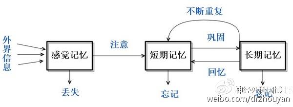 大脑记忆原理 记忆原理之正常的记忆程序