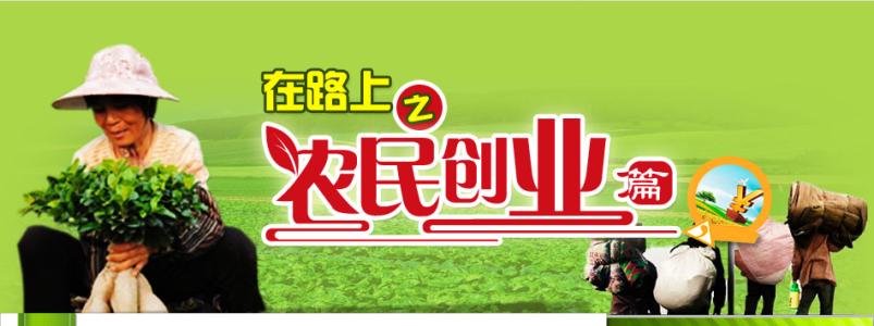 回家创业致富 回家乡创业的致富故事