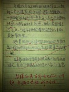 小学生四年级作文 小学生关于我的小发现四年级作文400字5篇