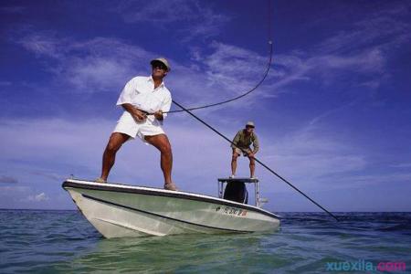 星露谷物语夏季钓鱼 夏季不同时间的钓鱼方法有哪些