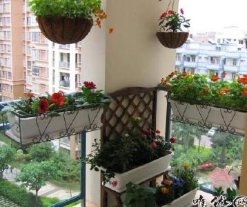 阳台花园布置 怎样把阳台布置成一个阳台花园?