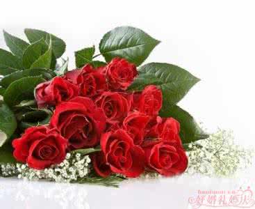 结婚纪念日送花 传统送花__庆祝结婚纪念日送什么花