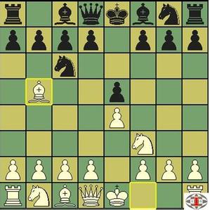 小学象棋社团简介 国际象棋各子的走法和简介