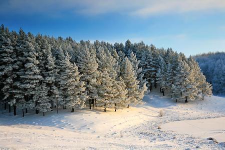 描写景色的好词好句 描写冬天景色的优美好句