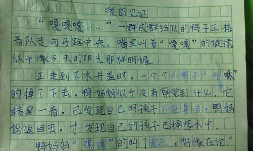 我的老师作文300字6篇 七年级作文我们的老师5篇