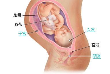 孕37周晚上宫缩肚子疼 37周宫缩肚子紧紧微痛怎么回事