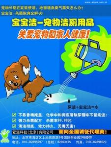 宠物用品广告词 有创意的宠物用品宣传广告词