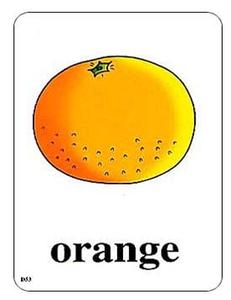 橙子用英语怎么说翻译 橙子用英语怎么说