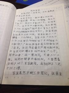 优秀范文800字 熟悉的人作文800字优秀范文3篇