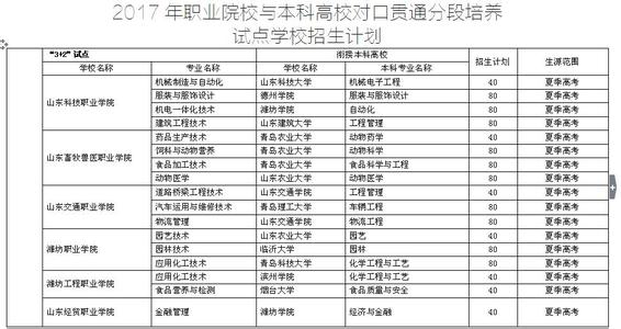 高校班主任工作计划 高校班主任工作年度计划