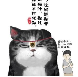 白茶吾皇猫漫画集 白茶猫漫画图片